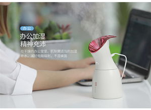 多蒙新款520迷你杀菌喷雾加湿USB美容仪——便携护肤新体验